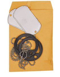 Us Original Dog Tag Set Polished With Silencer