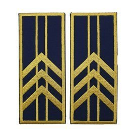 GRADE CONTROLOR – REFERENT VAMAL SUPERIOR - REPREZENTARE/ BLEUMARIN