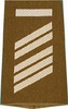 EMBLEMA - GERMAN ARMY O.D./SILVER SHOULDER LOOPS ´OBERSTABSGEFREITER UA´
