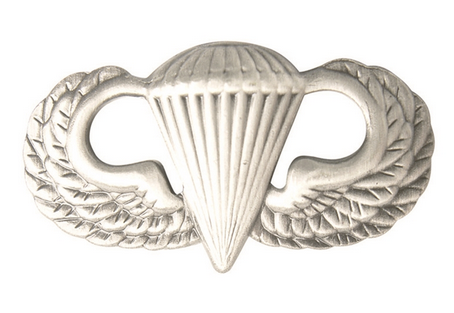 Insigna US Para Basic