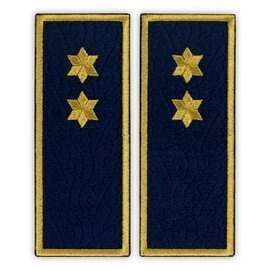 Embroidered penitentiary inspector badge ANP