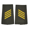 PAIR OF ORIGINAL RANKS - CORPORAL - GERMAN ARMY - NAVY - OLIVE GREEN/GOLDEN