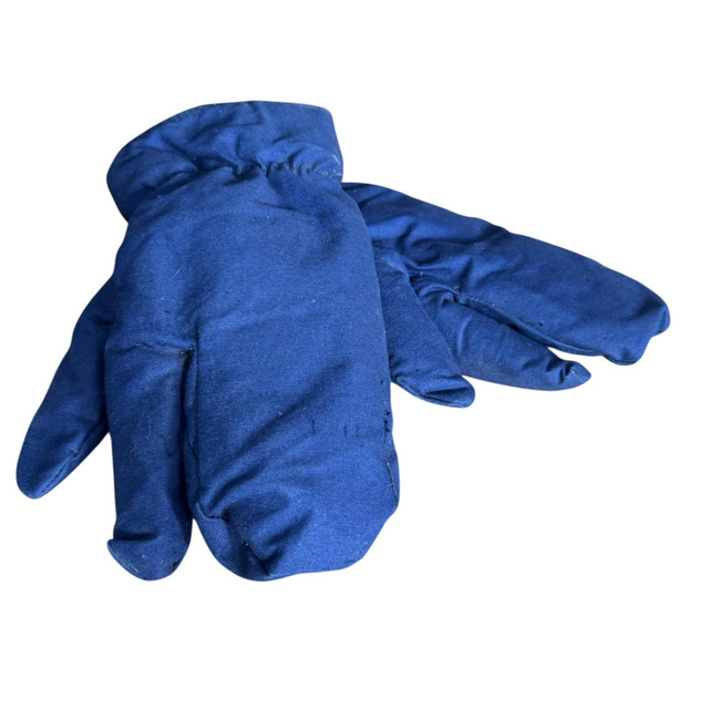 Manusi de protectie imblanite din material de foaie de cort, cu 3 degete - Surplus militar Armata Romana - Albastru inchis - In stare buna