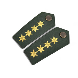 PERECHE EPOLETI POLITIE - 4 STELE - VERDE OD/AURIU- FORTELE DE ORDINE FEDERALE ALE GERMANIEI DE VEST - BW - CA NOI