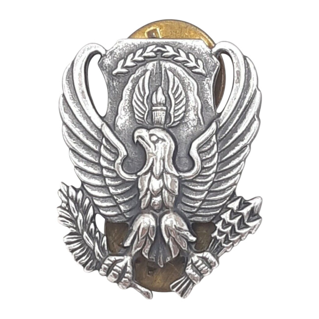 PERECHE INSIGNE METALICE VINTAGE PENTRU GULER - VULTUR - FORTELE AERIENE AMERICANE - SURPLUS MILITAR ARMATA AMERICANA - CA NOI