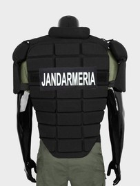 Vesta interventie anti vandalism Jandarmeria