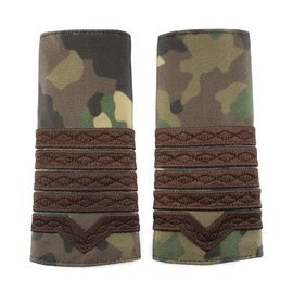 GRADE MAISTRU MILITAR CLASA 1-A COMBAT FORTE TERESTRE