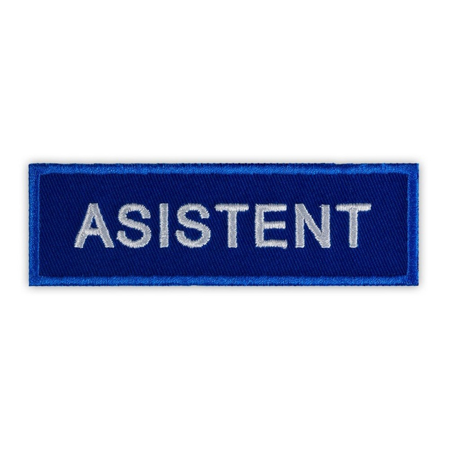 AMBULANCE ASSISTANT BADGE