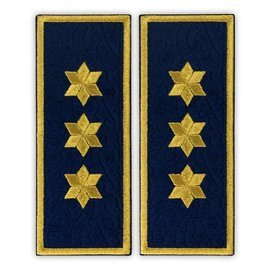 Grade Comisar Sef penitenciar, ANP