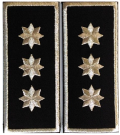 Grade Sef Politia Locala (director executiv) - Varianta 3