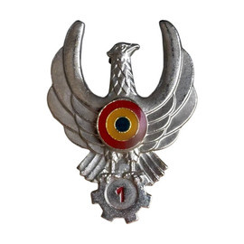 INSIGNA FORTELE AERIENE ROMANE - PILOT MILITAR - CLASA I - SURPLUS MILITAR AERONAUTICA MILITARA ROMANA - ARGINTIE - IN STARE BUNA