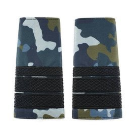 Grade Plutonier Major Aviatie - Camuflaj Combat - Fortele Aeriene - Cu Semn de Arma Auto