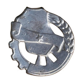 SEMN DE ARMA PENTRU EPOLETI, GRADE MILITARE - INTENDENTA/LOGISTICA - SURPLUS MILITAR ARMATA ROMANA - ARGINTIU - IN STARE BUNA