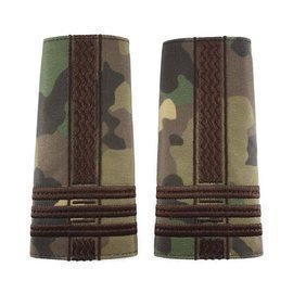 GRADE COLONEL COMBAT FORTE TERESTRE