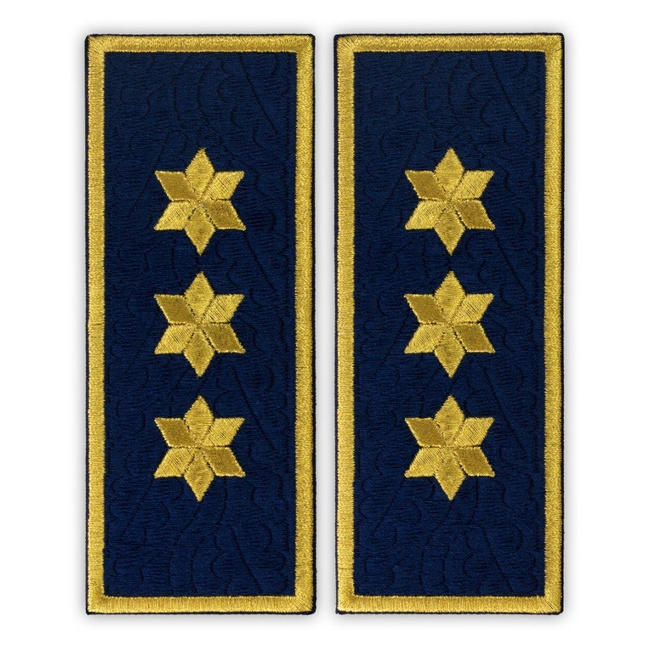 Grade Commissioner Penitentiary Chief, ANP