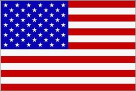 Steag cu suport de lemn 30 x 46 cm UNITED STATES OF AMERICA