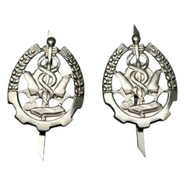 SET 2 SEMNE DE ARMA PENTRU EPOLETI, GRADE MILITARE - INTENDENTA/ LOGISTICA 1701 - SURPLUS MILITAR ARMATA ROMANA - ARGINTII - IN STARE BUNA