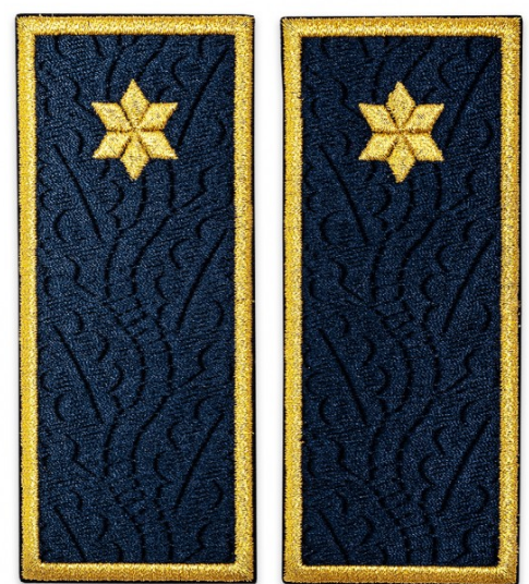 Penitentiary sub-inspector grades ANP