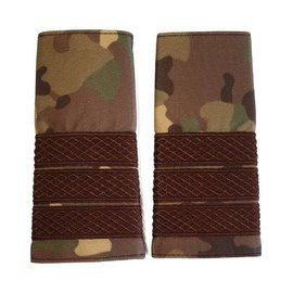 Adjutant Sergeant Rank Combat Terrestrial Forces