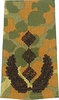 EMBLEMA - GERMAN ARMY FLECKTARN CAMO/BLACK SHOULDER LOOPS ´OBERST´