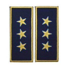 GRADE DIRECTOR GENERAL ADJUNCT VAMA - REPREZENTARE/ BLEUMARIN