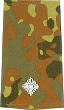 GERMAN ARMY FLECKTARN CAMO/SILVER SHOULDER LOOPS ´LEUTNANT´