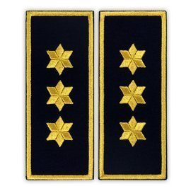 Grade Comisar Sef penitenciar ANP-simplu