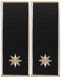 Grade Sef Serviciu Politia Locala