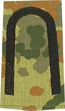 EMBLEMA - GERMAN ARMY FLECKTARN CAMO/BLACK SHOULDER LOOPS ´UNTEROFFIZIER´