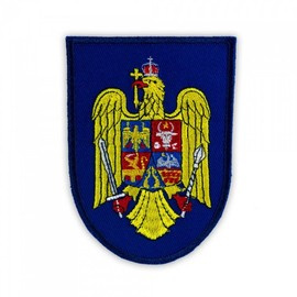 EMBROIDERED EMBLEM - AIR FORCE INSTRUCTION