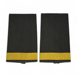 PAIR OF ORIGINAL RANKS - LIEUTENANT - GERMAN ARMY - NAVY - OLIVE GREEN/GOLDEN