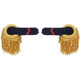 EPOLETI CU FRANJURI, RANK OFITER MARIN CU CARCASA - SURPLUS MILITAR DE LA ARMATA PORTUGALIEI - CA NOI