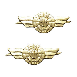 PAIR OF RANK INSIGNIA - RADIOLOCATION - ROMANIAN ARMY MILITARY SURPLUS - GOLDEN - IN GOOD CONDITION