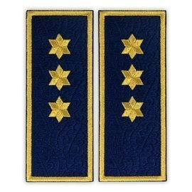 Embroidered penitentiary inspector badge ANP