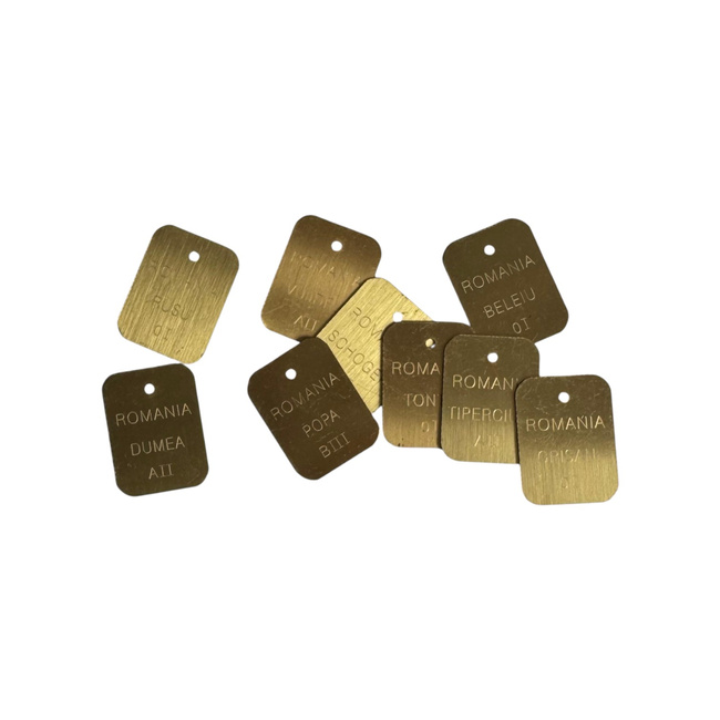 Placuta Personalizata de Identificare - Dog Tag - Demo - Surplus Militar Armata Romana - Model Aleatoriu - Aurie - Ca Noua