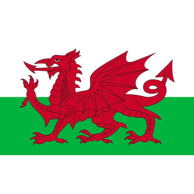 FLAG - 90 x 150 CM - WALES - NEW