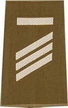 EMBLEMA - GERMAN ARMY O.D./SILVER SHOULDER LOOPS ´HAUPTGEFREITER UA´