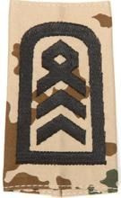 EMBLEMA - GERMAN ARMY TROPICAL CAMO/BLACK SHOULDER LOOPS ´OBERSTABSFELDWEBEL´