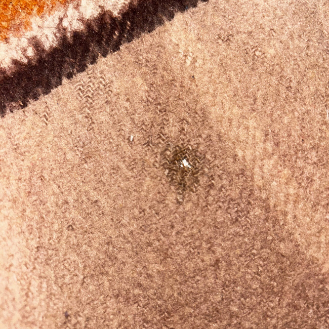 PATURA DE LANA VINTAGE - 140x210 CM - SURPLUS MILITAR ARMATA ROMANA - DEGRADATA