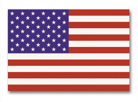 Steag Statele Unite ale Americii