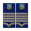 Emblema jandarmi maistru militar cl. a 1 a IGJR (mesaj personalizat)