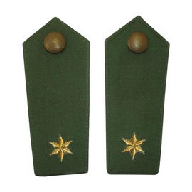 PAIR OF POLICE EPAULETTES – 1 STAR – OD GREEN/GOLDEN – WEST GERMAN FEDERAL POLICE – LIKE NEW