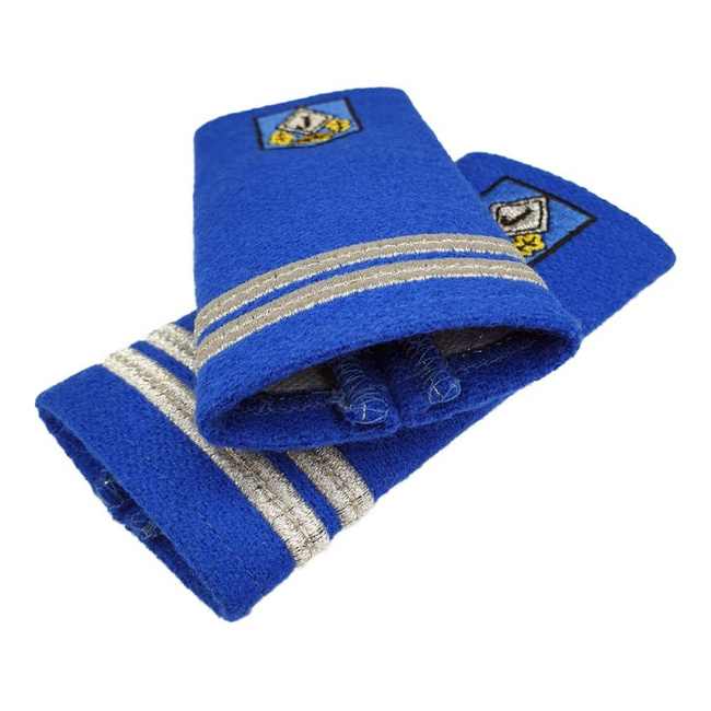 Grade locotenent jandarmi