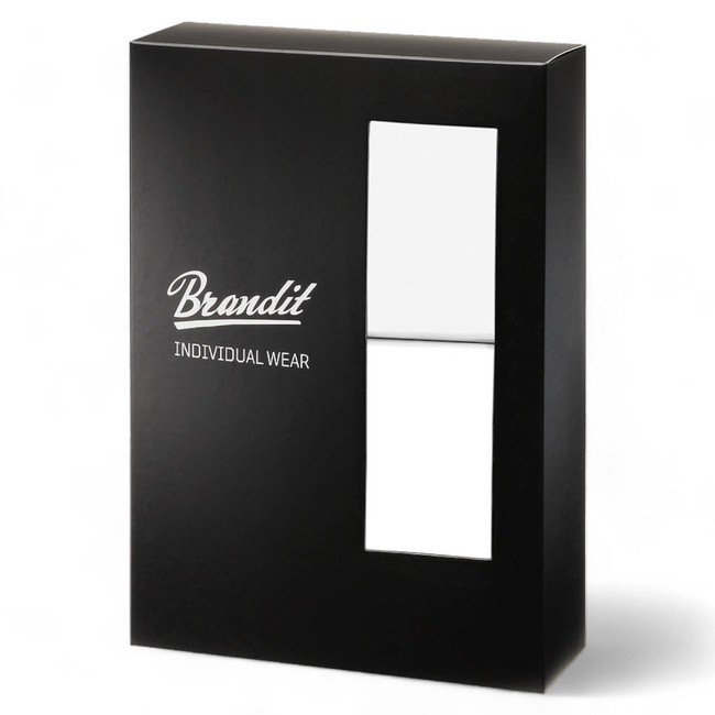 BOXERI CU LOGO - ALBI - BRANDIT (2/PACK)