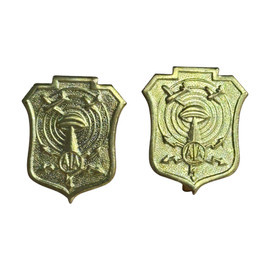 SET 2 SEMNE DE ARMA PENTRU EPOLETI, GRADE MILITARE - OFITER ALA - APARAREA LOCALA ANTIAERIANA - SURPLUS MILITAR ARMATA ROMANA - AURII - IN STARE BUNA