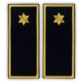 Embroidered sub-inspector penitentiary ANP badge