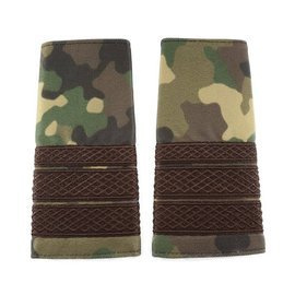 GRADE PLUTONIER MAJOR COMBAT FORTE TERESTRE