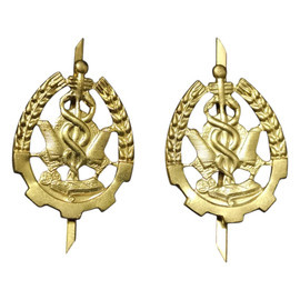 PAIR OF RANK INSIGNIA - QUARTERMASTER/ LOGISTICS 1701 - ROMANIAN ARMY MILITARY SURPLUS - GOLDEN - IN GOOD CONDITION