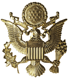 Insigna sapca Ofiter US Army