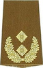 GERMAN ARMY O.D./GOLD SHOULDER LOOPS ´GENERAL-MAJOR´